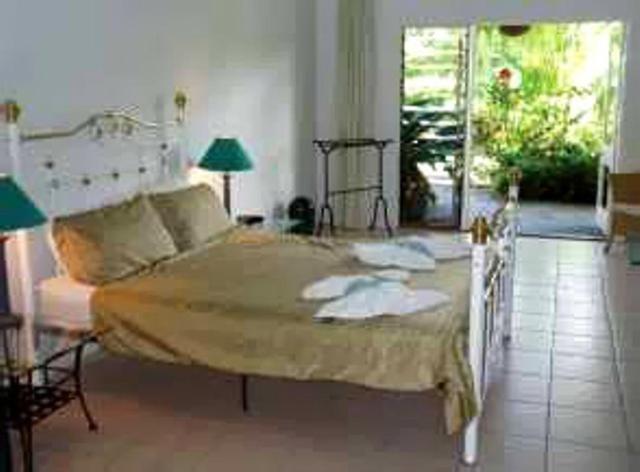 Daintree Wild Bed & Breakfast Bed and Breakfast Esterno foto