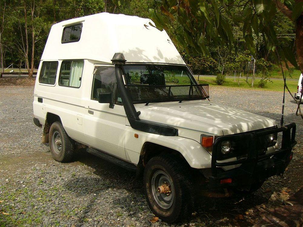 Daintree Wild Bed & Breakfast Bed and Breakfast Esterno foto