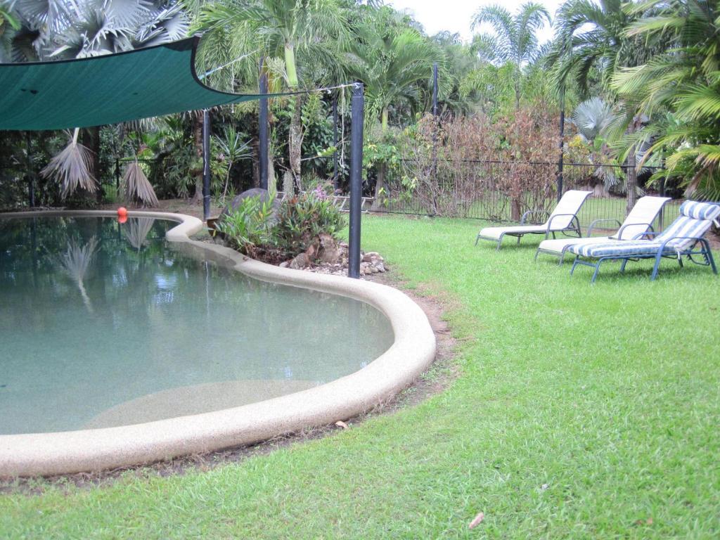 Daintree Wild Bed & Breakfast Bed and Breakfast Esterno foto