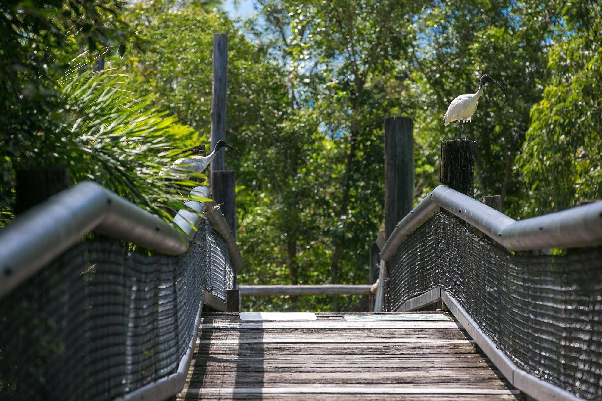 Daintree Wild Bed & Breakfast Bed and Breakfast Esterno foto